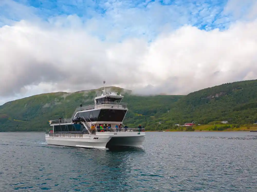 Passenger boat on water with green mountains in background