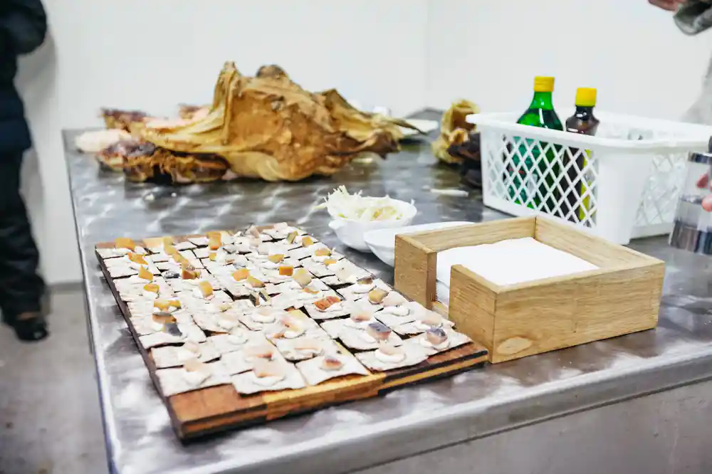 Table display of dried fish specimens and research materials
